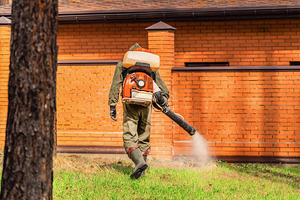 Trusted Fumigation Services service in Satellite Beach, FL - Nex Pest Control